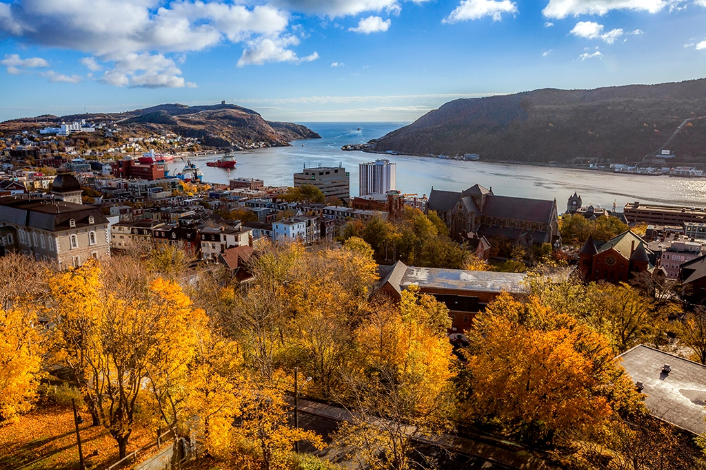 Blick über St. John’s mit bunten Häusern und Hafen an der Atlantikküste