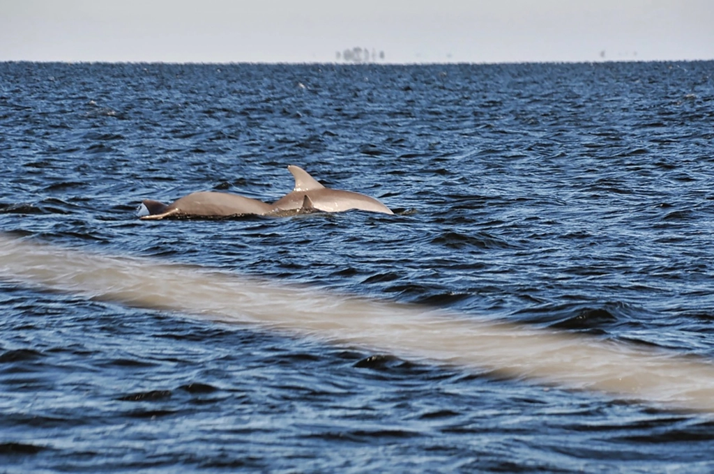 USA, Florida, Pensacola