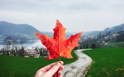 Wissenswertes zur Elektronischen Reisegenehmigung (eTA) für Kanada