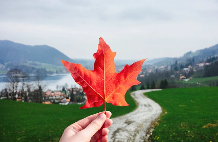 Wissenswertes zur Elektronischen Reisegenehmigung (eTA) für Kanada