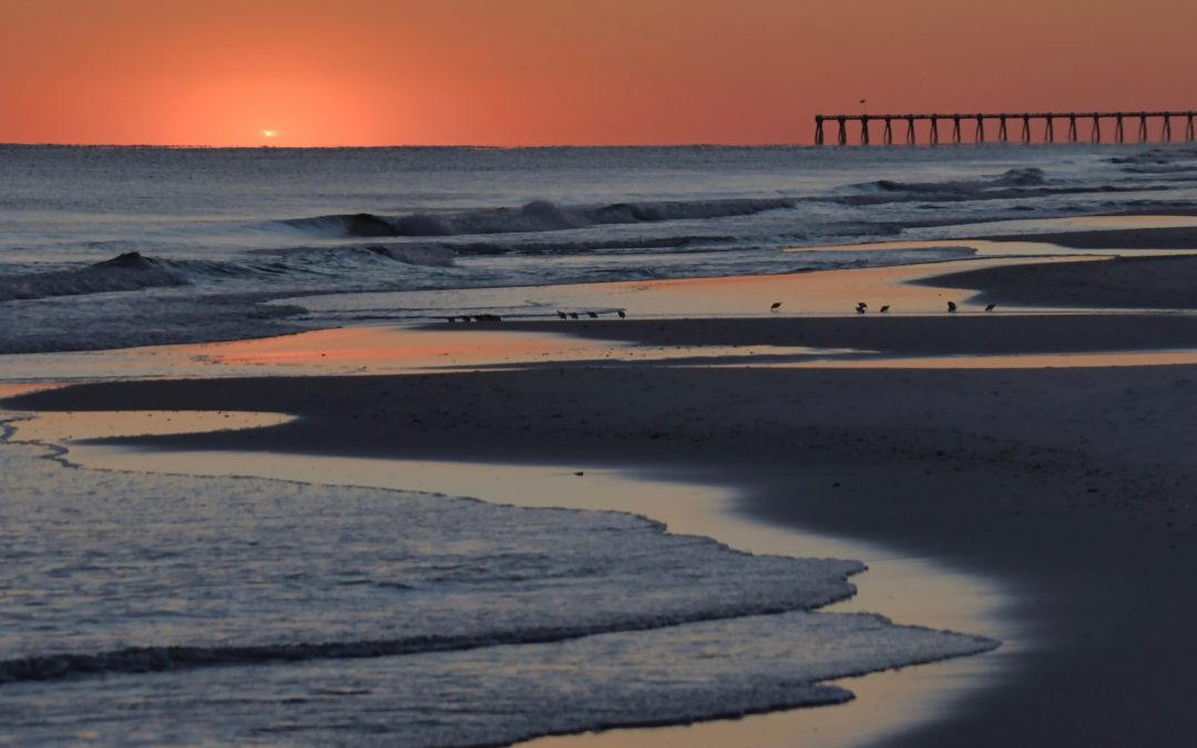 Entlang der Golfküste: Von Biloxi nach Tampa