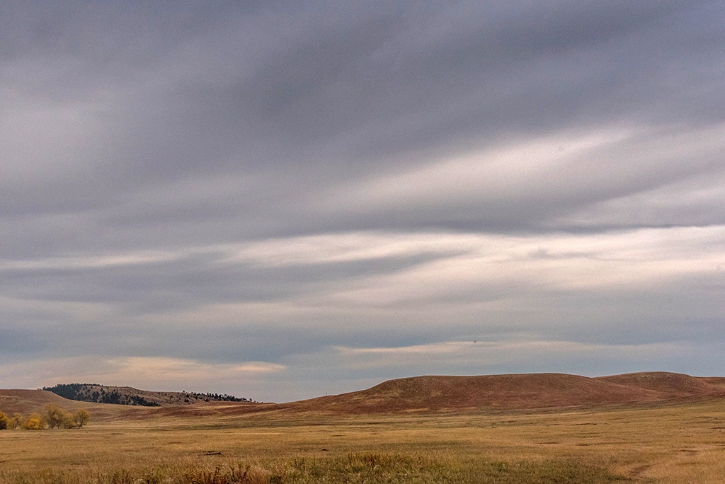 Weite Graslandschaft der südlichen Prärie unter einem bewölkten Himmel.