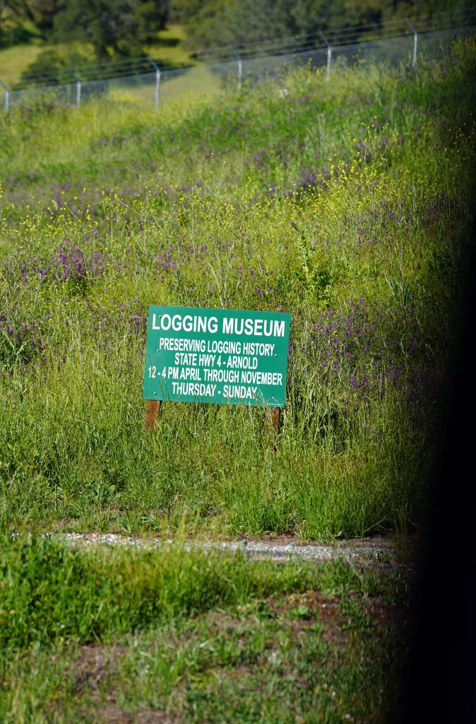 Grünes Hinweisschild zum Logging Museum in Arnold entlang des Highway 4.