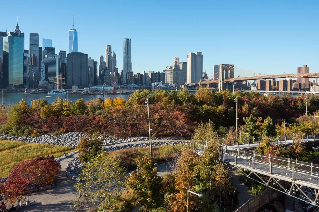Blick vom Brooklyn Bridge Park auf die Manhattan-Skyline und die Brooklyn Bridge im Herbst.