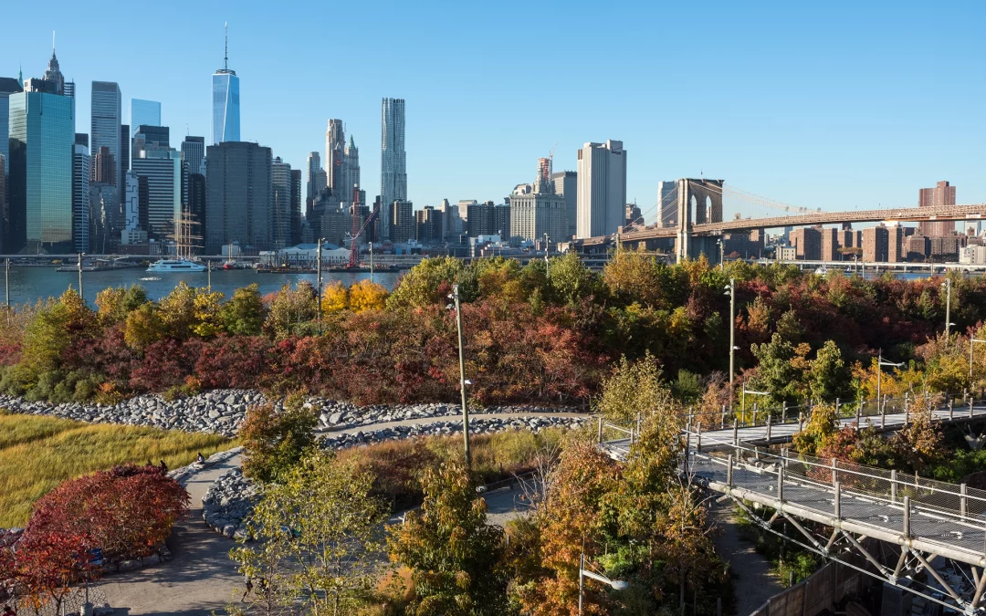 New Yorks grüne Seiten