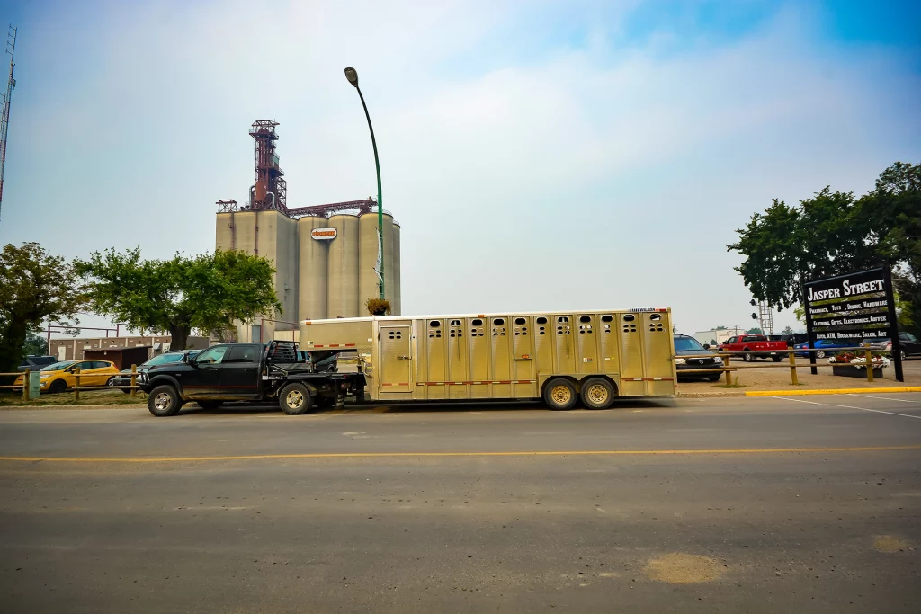 Ein Pickup mit Viehtransporter parkt vor einem Getreidesilo in Maple Creek, Saskatchewan.