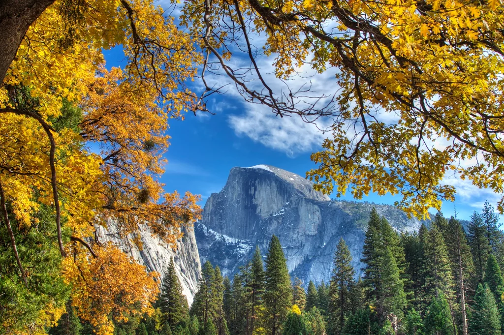 Blick auf den Half Dome im Yosemite National Park, eingerahmt von buntem Herbstlaub.