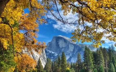 Magischer Herbst im Yosemite Mariposa County