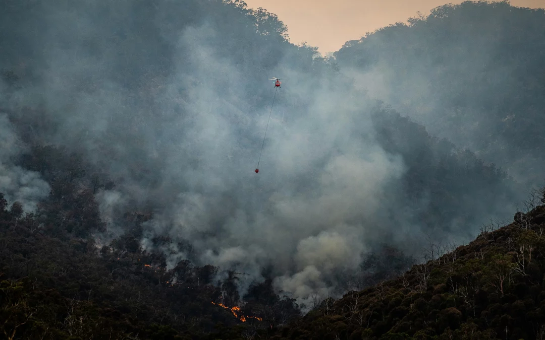 Waldbrand-Infos für Kanada-Reisende – Sicherheit geht vor