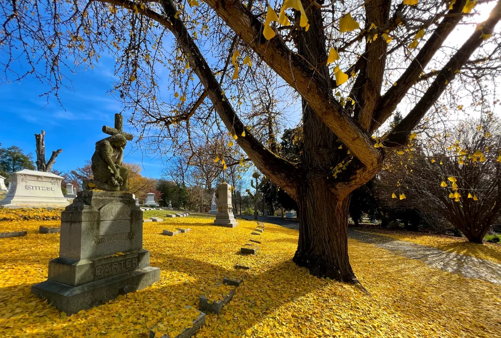 Herbstliche Friedhofsszene mit buntem Laub im Cave Hill Cemetery, Louisville.