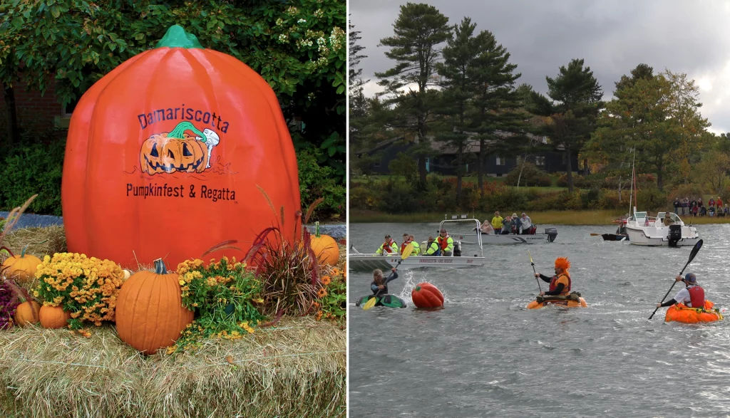 Riesiger Kürbis als Dekoration und Paddel-Regatta mit geschnitzten Riesenkürbissen in Damariscotta, Maine.