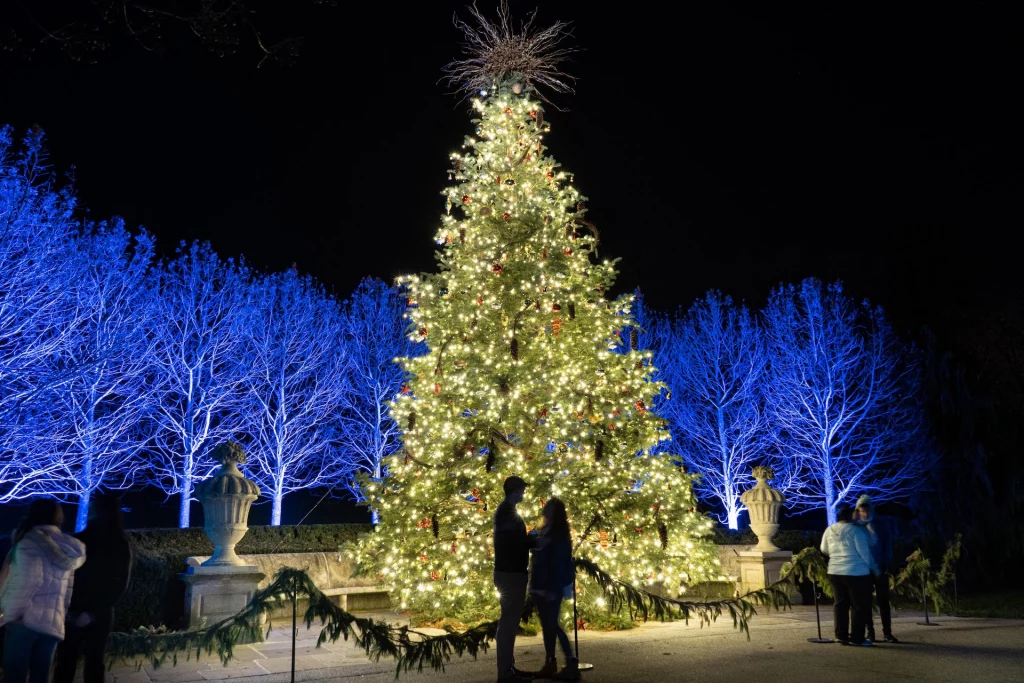 Weihnachtsbaum mit Lichterketten im Longwood Gardens bei Philadelphia, Pennsylvania