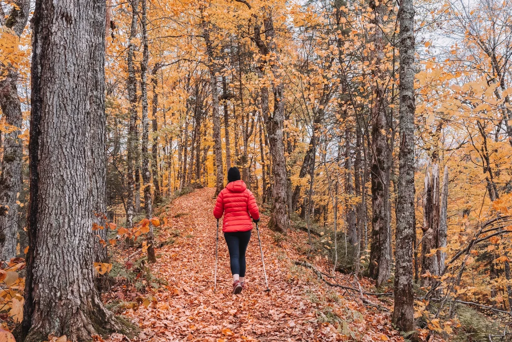 Wanderer im roten Mantel auf einem von Laub bedeckten Waldweg im Parc national du Mont-Tremblant.
