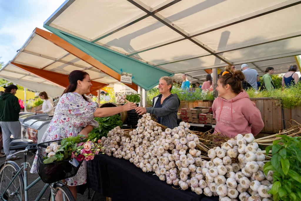 Marktstand in Val-David mit frischem Knoblauch und Blumen, Besucherin im Gespräch mit Händlerin.