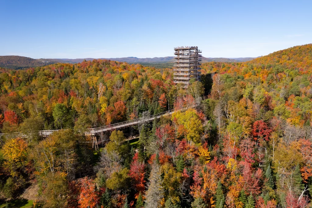 Weitläufiger Blick auf den Sentier des cimes Laurentides mit Baumwipfelpfad und Aussichtsturm, Québec.