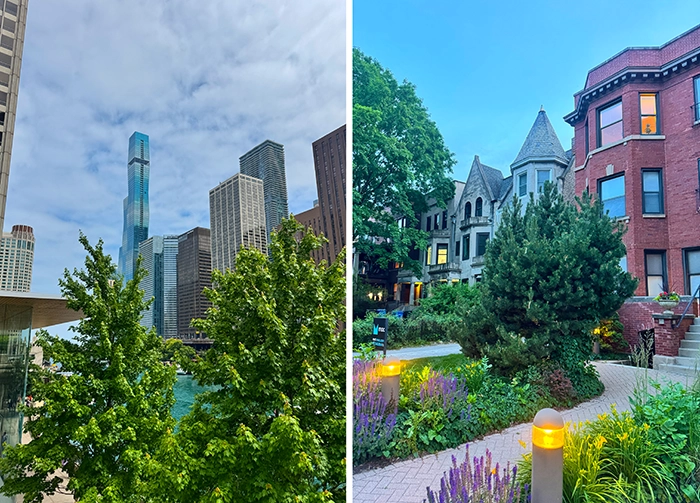 Zwei Seiten Chicagos: moderne Hochhäuser entlang des Chicago River und historische Wohnhäuser mit Gärten in einem Stadtviertel bei Abendlicht.