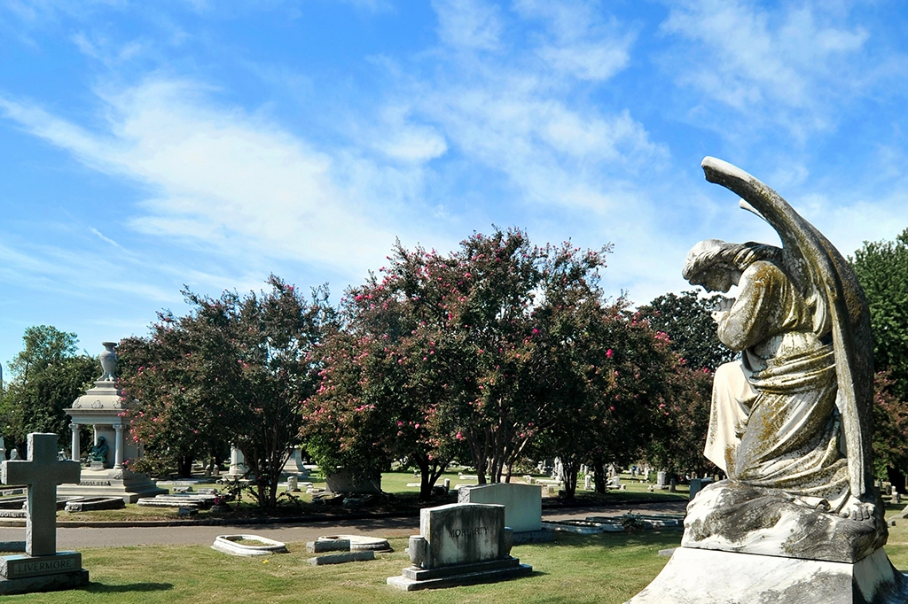 Engelsstatue auf einem alten Friedhof, im Hintergrund blühende Bäume und historische Grabstätten.