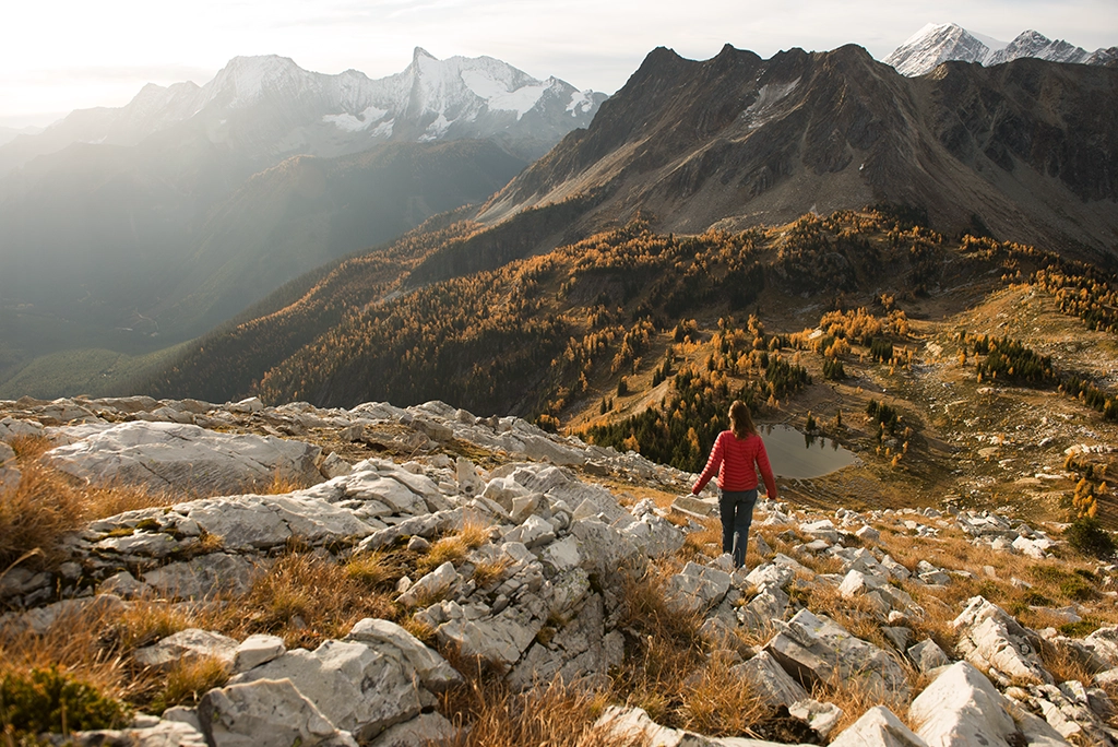 Einzelner Wanderer mit Rucksack steht im Herbstlicht auf einem Bergrücken am Jumbo Pass in den Kootenay Rockies.