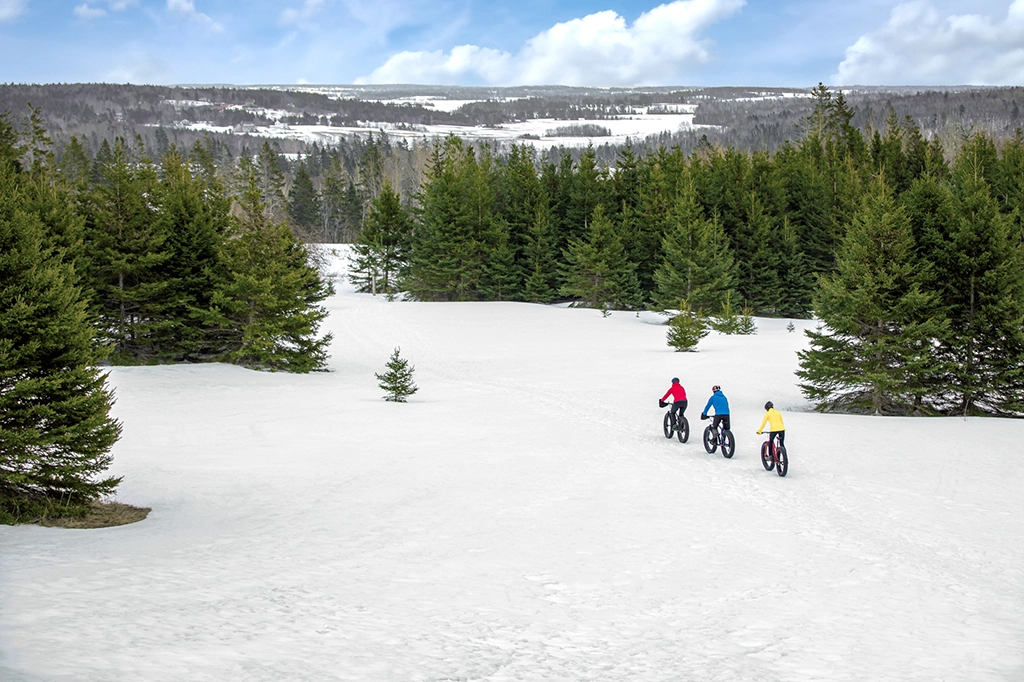 Drei Menschen fahren mit Fatbikes durch eine verschneite Winterlandschaft mit Nadelbäumen in Bonshaw, PEI.