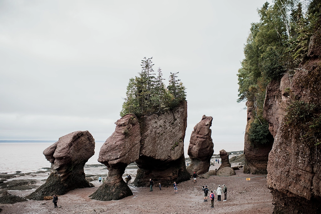 Besucher:innen spazieren zwischen den Felsformationen der Hopewell Rocks bei Ebbe.