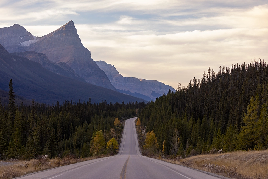 Gerade Straße durch dichten Nadelwald in den kanadischen Rocky Mountains bei Banff, Alberta, mit Berggipfeln im Hintergrund