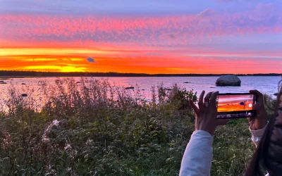 Mit dem Camper durchs Baltikum: Estland, Lettland und Litauen im Spätsommer