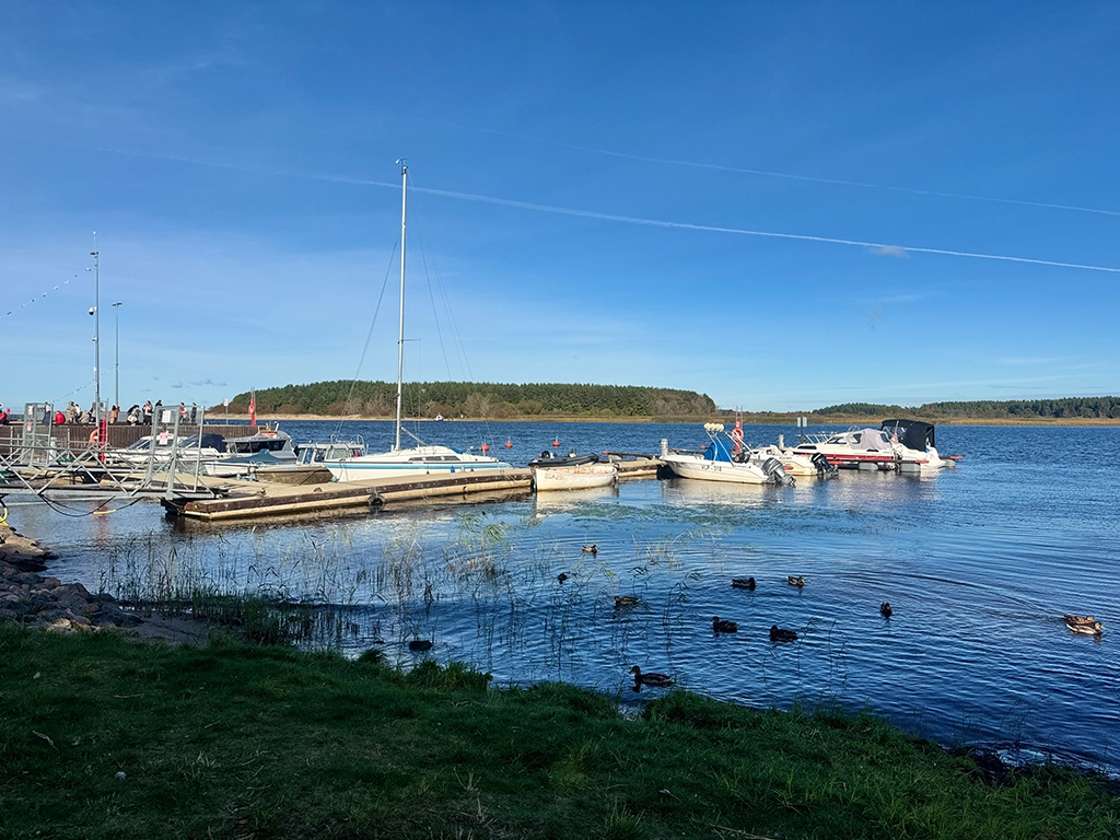 Kleiner Hafen mit Booten und Enten am Ufer von Narva-Jõesuu an der Ostsee