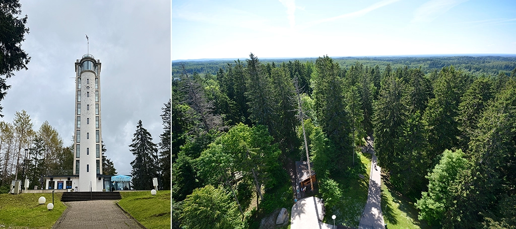 Aussichtsturm auf dem Suur Munamägi, höchste Erhebung des Baltikums in Estland