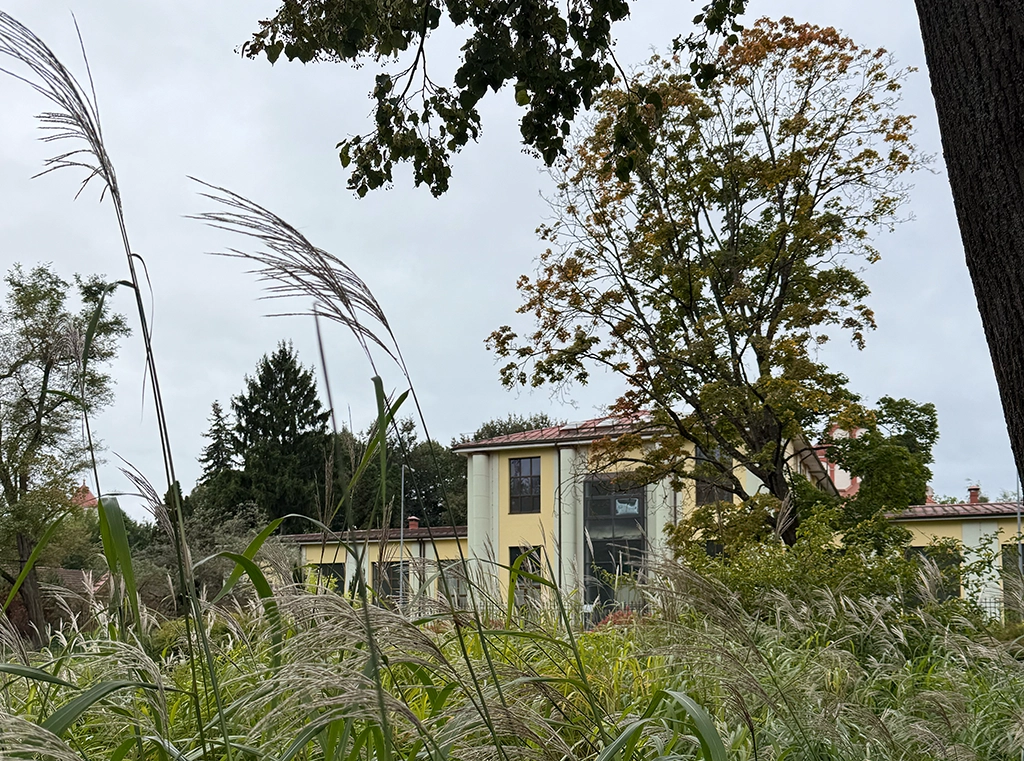 Ufer der Vilnia mit Gras und Bäumen im Viertel Užupis in Vilnius