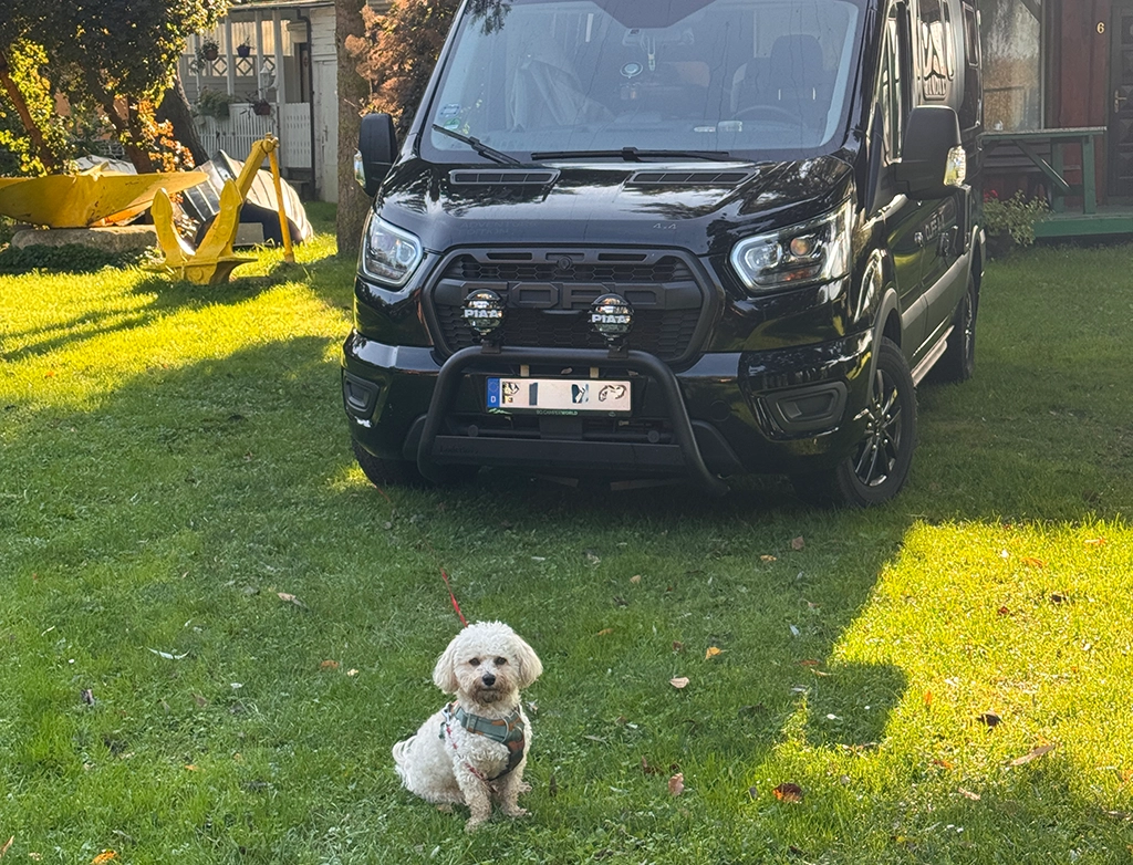 Campervan auf grüner Wiese mit kleinem Hund vor dem Fahrzeug im Baltikum
