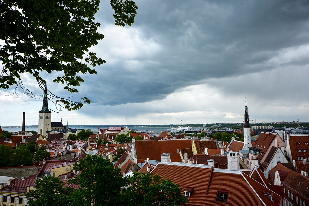 Aussicht vom Kohtuotsa-Aussichtspunkt über die Altstadt von Tallinn bis zur Ostsee