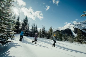 Drei Schneeschuhwanderer im frischen Pulverschnee mit Blick auf die Alberta Rockies