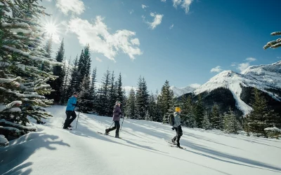 Banff und Jasper: Leichte Winterwanderungen, große Landschaft