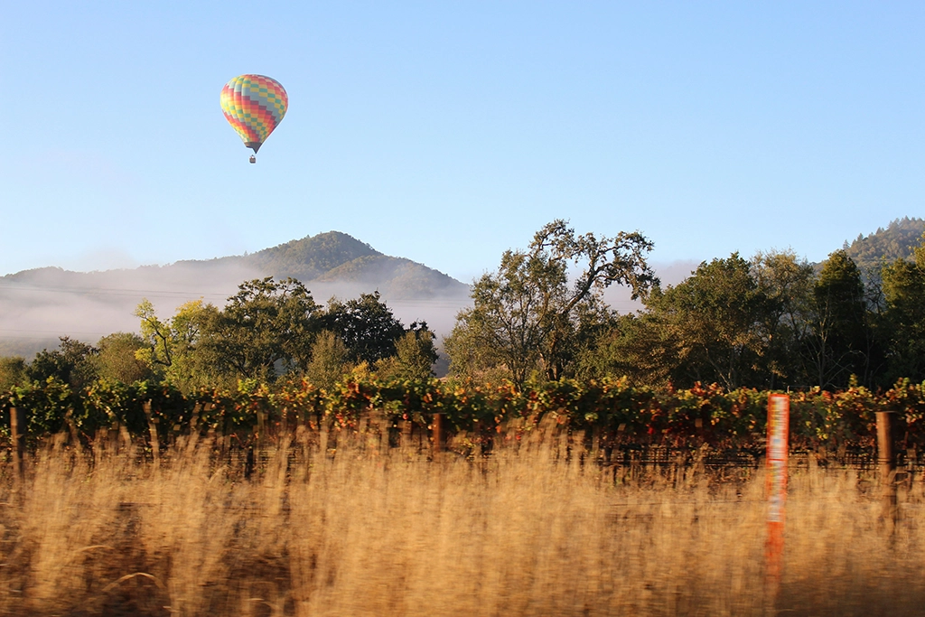Heißluftballon über den Weinbergen des Napa Valley bei Morgennebel