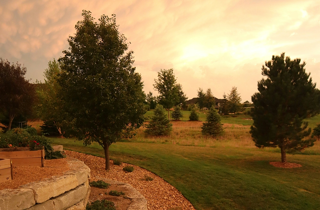 Landschaft mit Bäumen, Wiesen und sanft hügeligem Gelände bei Sonnenuntergang