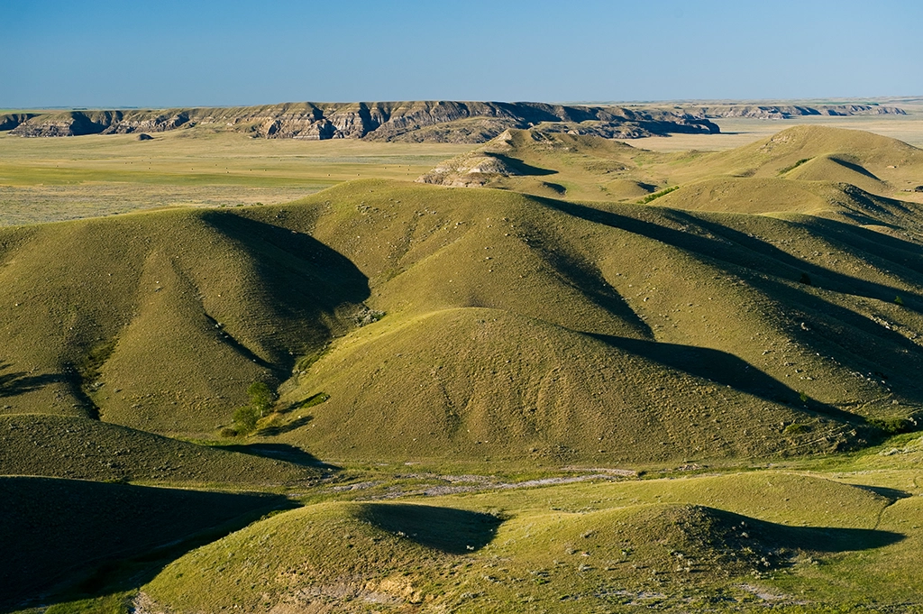 Grüne Hügellandschaft der Big Muddy Badlands bei Coronach in Saskatchewan
