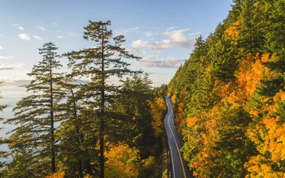 Fußballsommer 2026: Roadtrip zu den Fan Zones in Washington