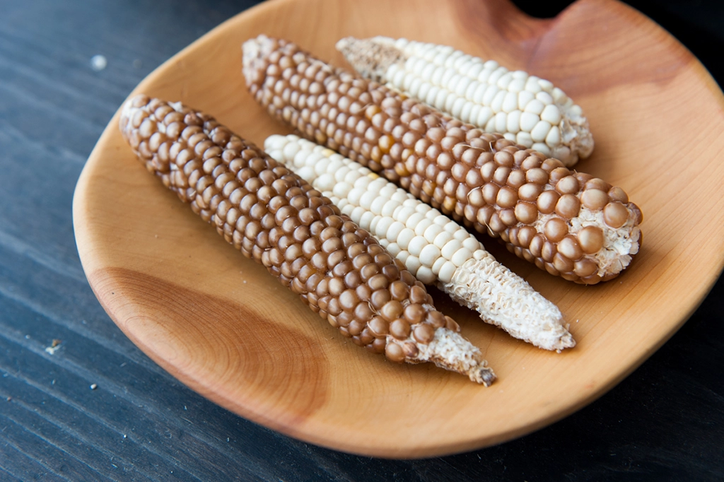 Teller mit traditionellem O’odham-Mais in natürlichen Farben, serviert in einer Holzschale.
