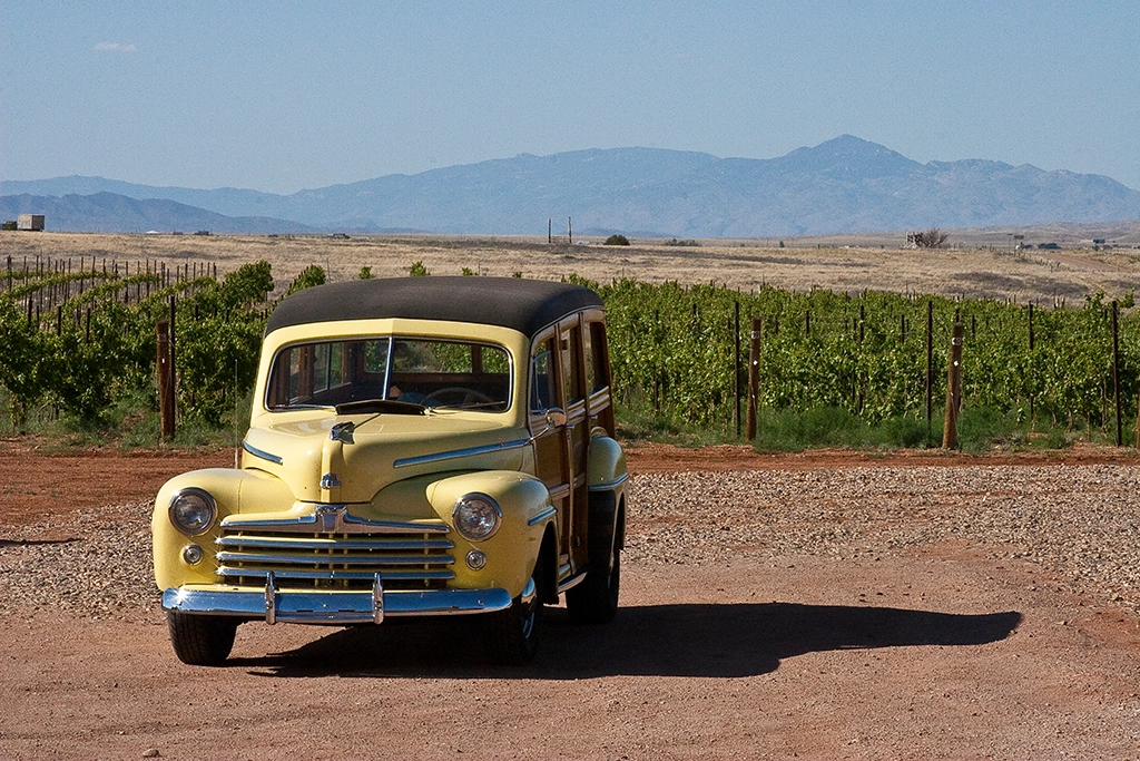 Gelber Oldtimer vor einem Weinfeld in Elgin, Arizona