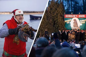 Collage mit Lucy the Lobster in Nova Scotia und Punxsutawney Phil in Pennsylvania