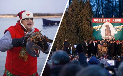 Groundhog Day: Murmeltier vs. Hummer