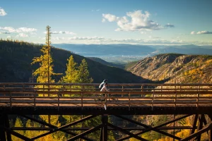 Radfahrer überqueren Holzbrücke im Myra Canyon mit goldenen Lärchen