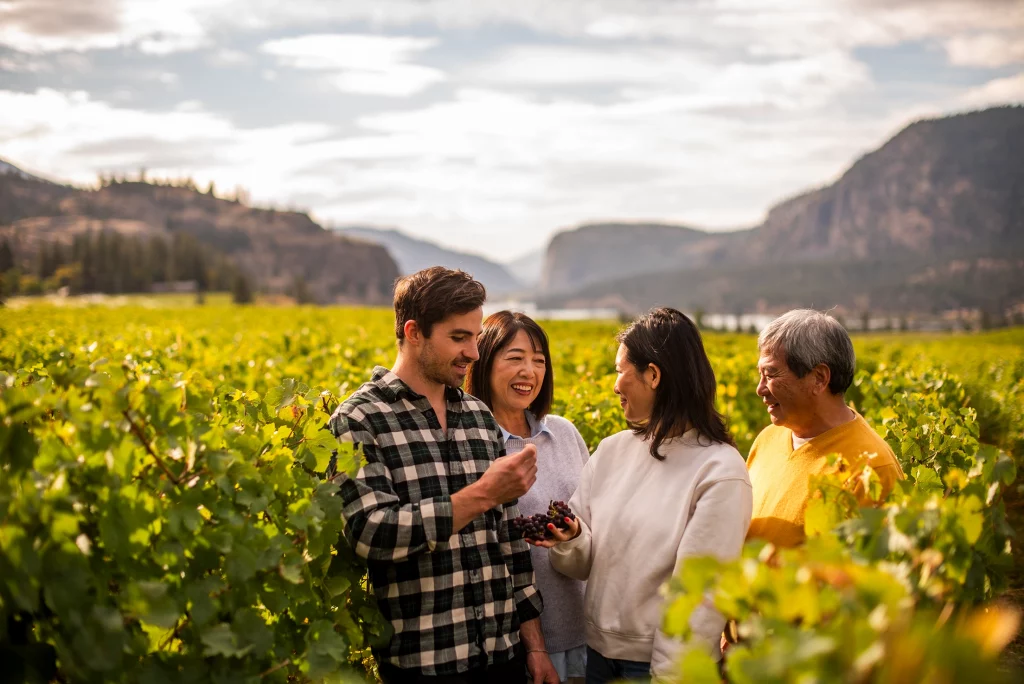 Menschen stehen in Weinberg und probieren Trauben im Okanagan Valley