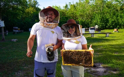 RoadTrip Stops: Date mit 50.000 Bienen – Seminole, FL