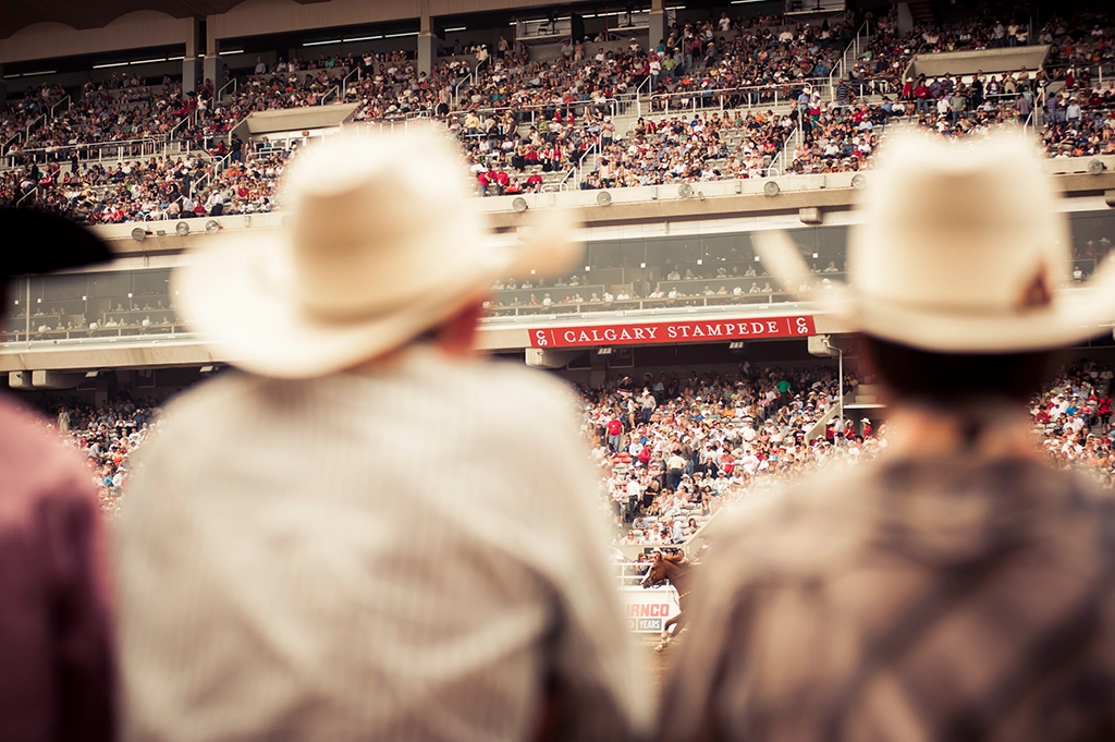 Zuschauer verfolgen das Rodeo von der voll besetzten Tribüne der Calgary Stampede.