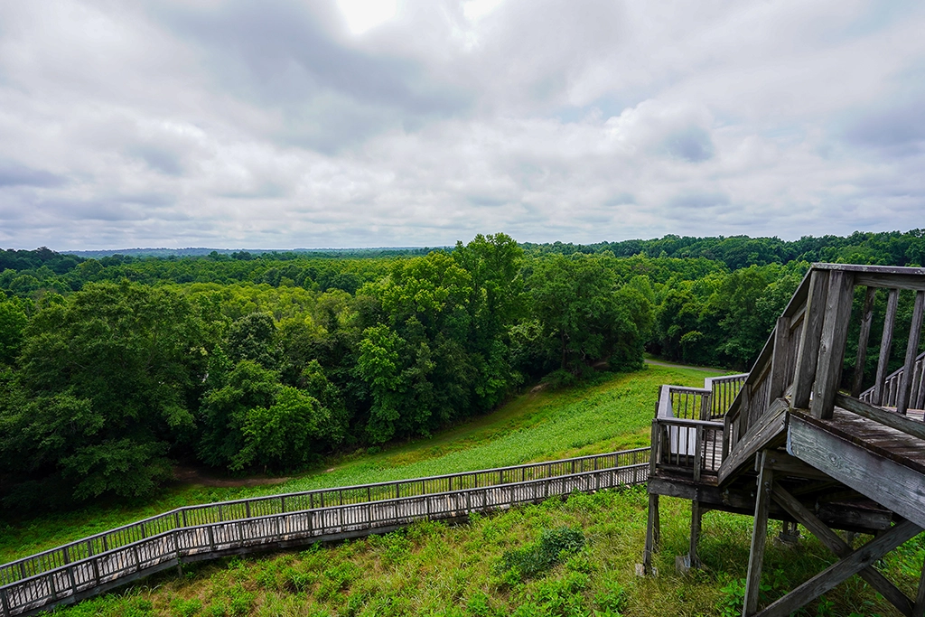 Aussicht vom Great Temple Mound über Wälder und Flusslandschaft in Georgia.