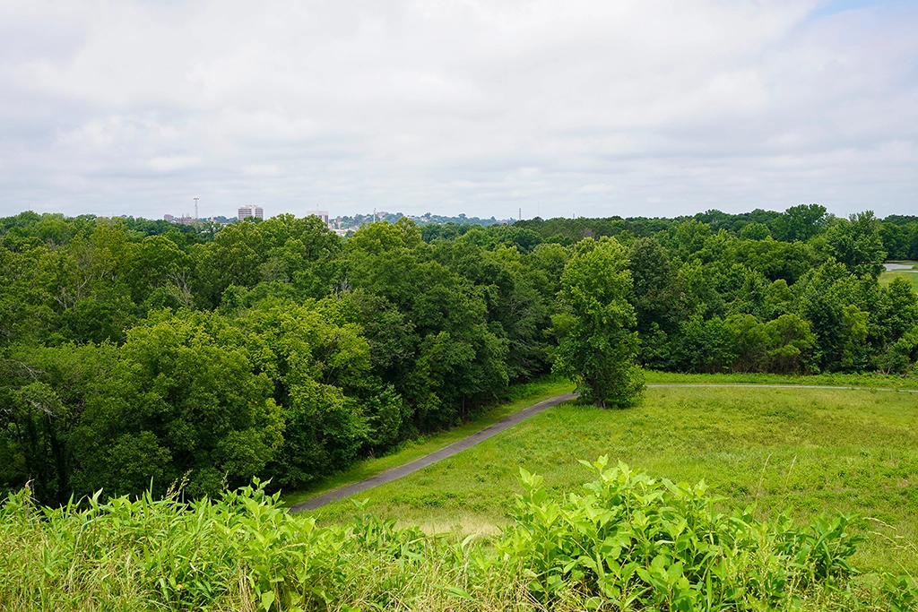 Blick vom Great Temple Mound auf Wälder und die Häuser von Macon, Georgia.