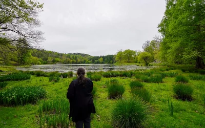 RoadTrip Stops: Innisfree Garden, NY – Wo Landschaft zur Kunst wird
