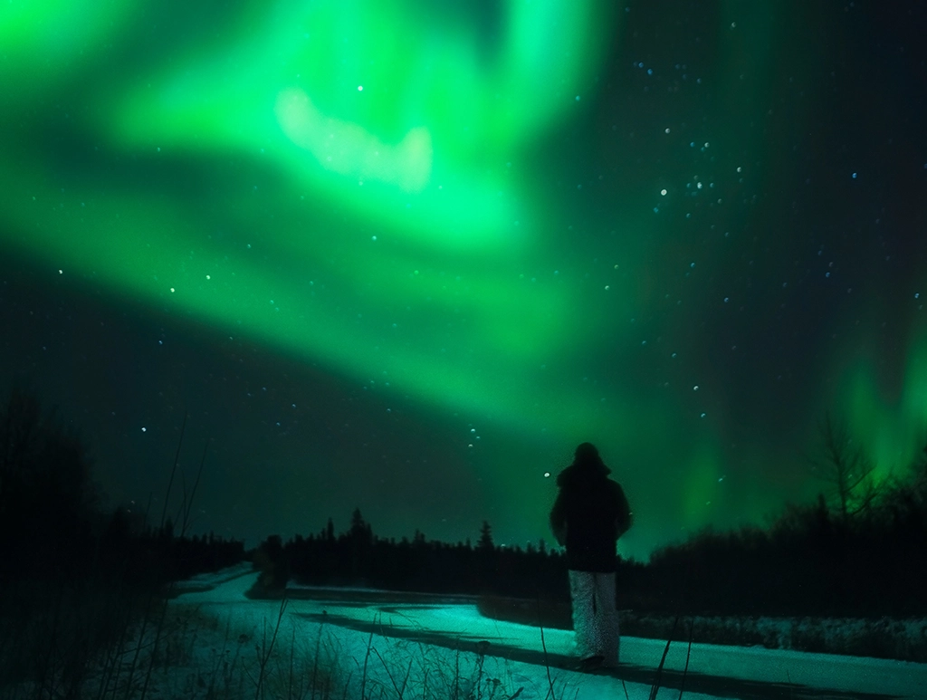 Grünes Polarlicht über einer verschneiten Winterlandschaft bei Fairbanks in Alaska.
