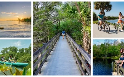 Fünf Naturparadiese rund um Fort Myers, Florida
